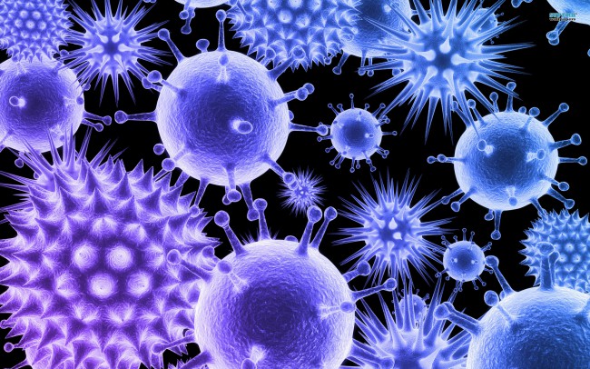 virus-650x406.jpg virus-650x406.jpg