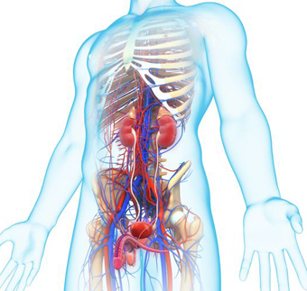 muzhskaya-urologiya.jpg muzhskaya-urologiya.jpg